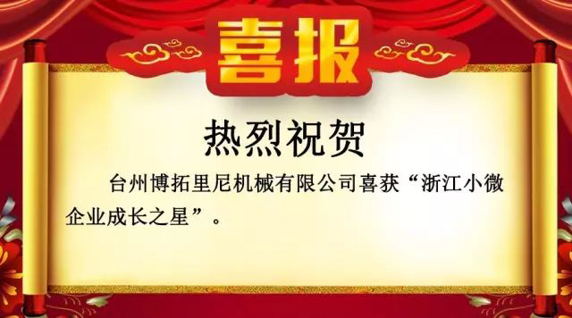 喜報！！！博拓里尼榮獲浙江小微企業成長之星。
